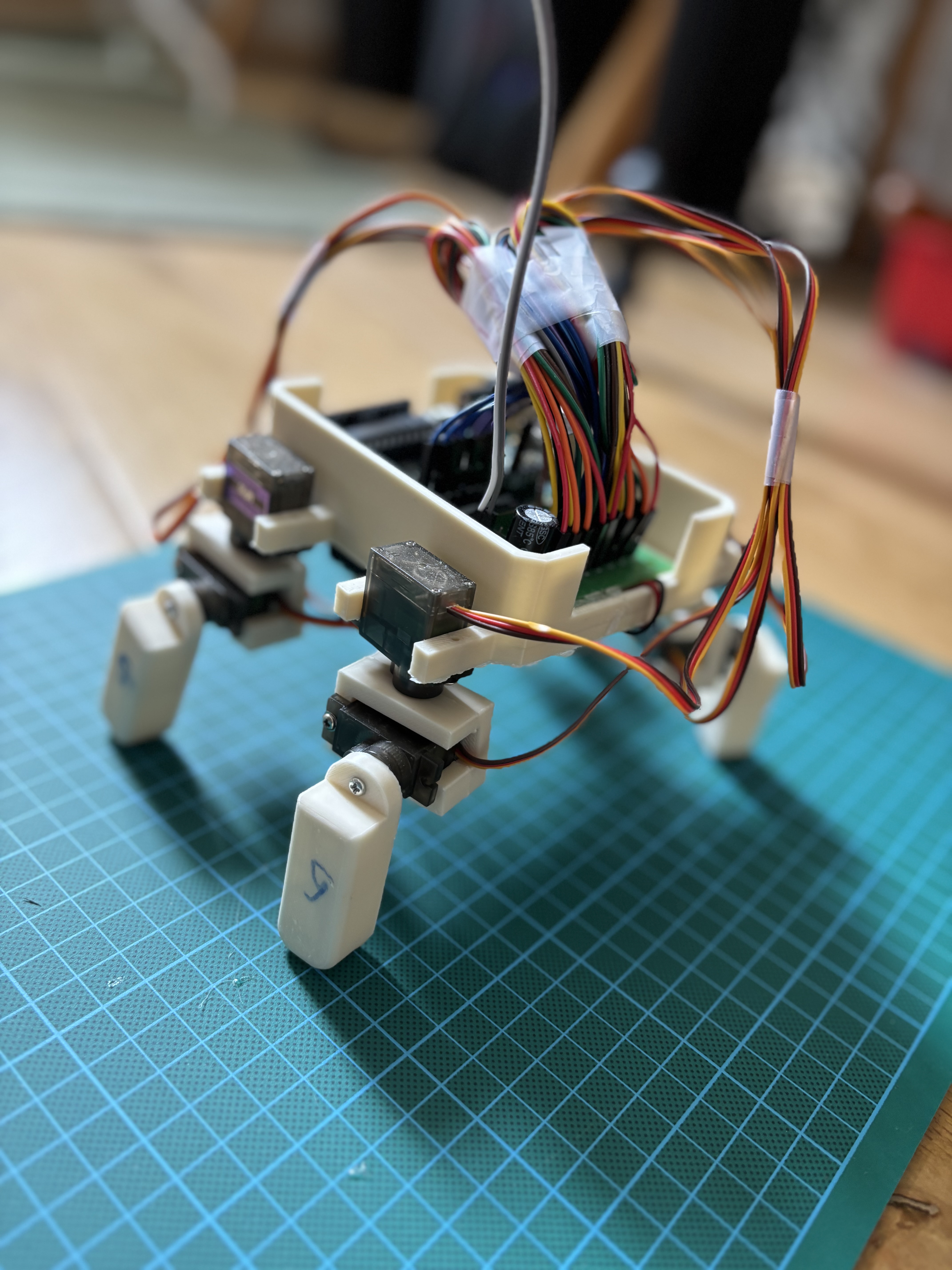 Spider robot project